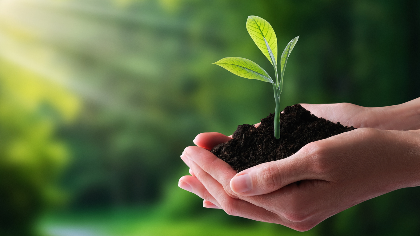 Benefits of Plant Sap Analysis compared to Soil Testing