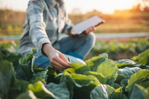 benefits of plant sap analysis